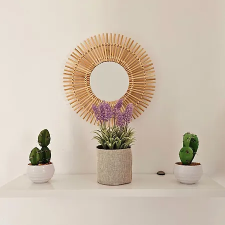 Mykonos4islands Seaside And 4* 칼로 리바디