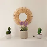 Mykonos4islands Seaside And 4* كالو ليفادي